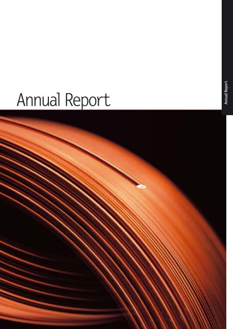Annual Report - Investis