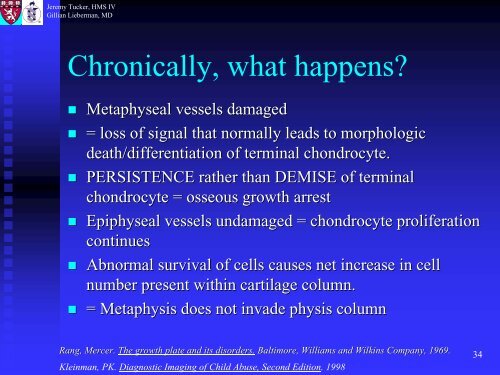 Metaphyseal and Rib Fractures in Child Abuse