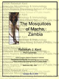 The Mosquitoes of Macha-March 06.pdf - Johns Hopkins Malaria ...