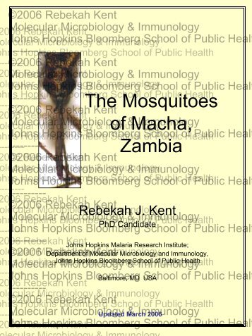 The Mosquitoes of Macha-March 06.pdf - Johns Hopkins Malaria ...