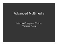 Slides - Tamara L Berg