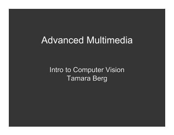 Slides - Tamara L Berg