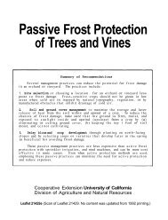 Passive Frost Protection of Trees and Vines - University of California ...