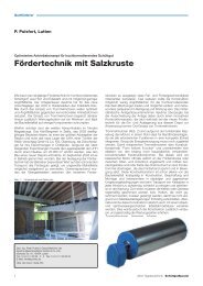 Fördertechnik mit Salzkruste - Apullma Maschinenfabrik A. Pulsfort ...