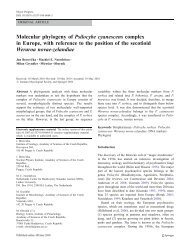 Molecular phylogeny of Psilocybe cyanescens complex in Europe ...