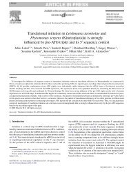 Translational initiation in Leishmania tarentolae and Phytomonas ...