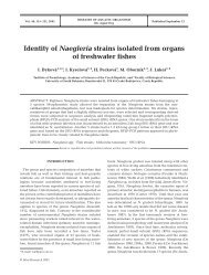 Identity of Naegleria strains isolated from organs of freshwater fishes