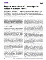 Trypanosoma brucei: two steps to spread out from Africa - Institute of ...