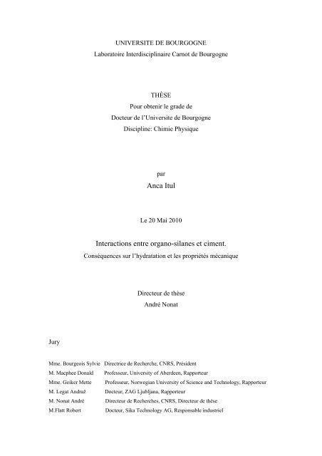 Phd thesis italiano image
