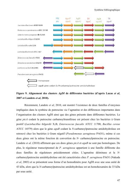 THESE Maryse Bonnin Jusserand - Université de Bourgogne