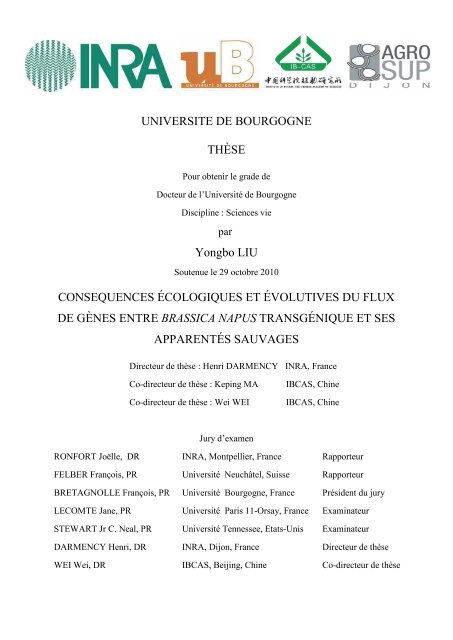 UNIVERSITE DE BOURGOGNE THÈSE Yongbo LIU - Université de ...
