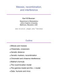 Meiosis, recombination, and interference