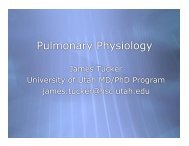 Pulmonary Physiology - University of Utah