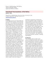 Functional Neuroanatomy of the Retina - University of Utah