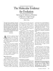 The Molecular Evidence for Evolution - Faculty.virginia.edu