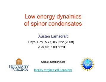 Low energy dynamics of spinor condensates - Faculty.virginia.edu