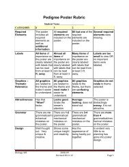 Project Scoring Rubric