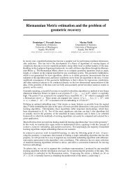 Riemannian Metric estimation and the problem of geometric recovery