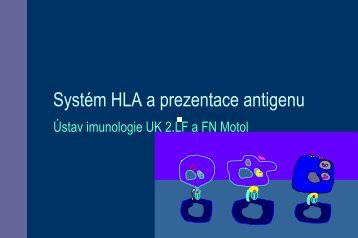 Systém HLA a prezentace antigenu - Ústav imunologie