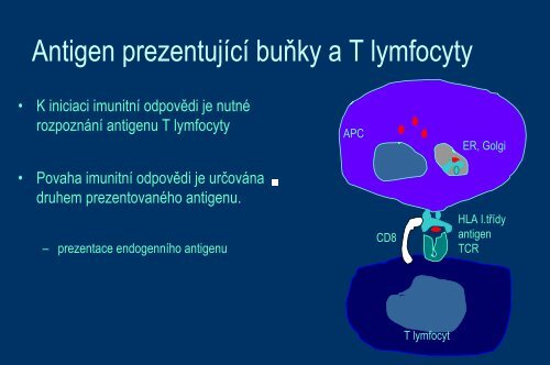 Systém HLA a prezentace antigenu - Ústav imunologie