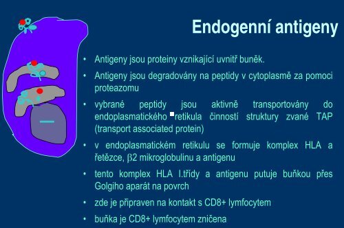 Systém HLA a prezentace antigenu - Ústav imunologie