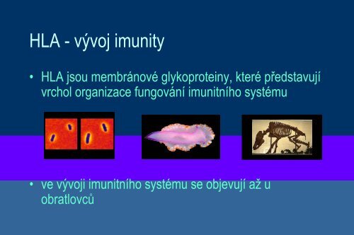 Systém HLA a prezentace antigenu - Ústav imunologie