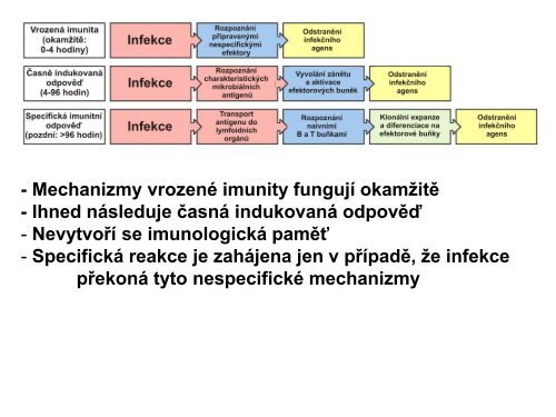 Nespecifické složky buněčné imunity - Ústav imunologie
