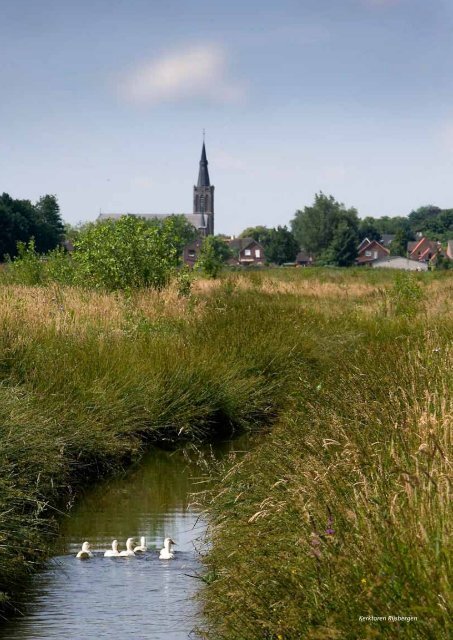 Beleidsdocument - Ruimtelijkeplannen.nl