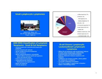 The Small B-Cell Lymphomas