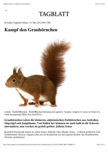 Tagblatt Online - Kampf den Grauhörnchen