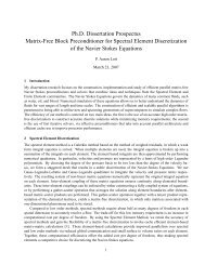 Ph.D. Dissertation Prospectus Matrix-Free Block Preconditioner for ...