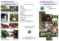 9 SPANIELRASSEN… 9 SPANIELRASSEN... - Jagdspaniel-Klub e.V.