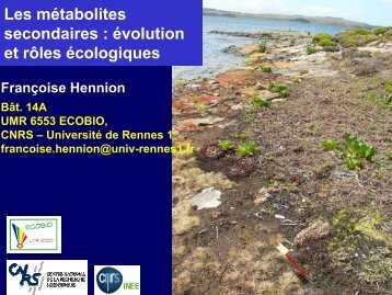 Les métabolites secondaires - Ecobio - Université de Rennes 1