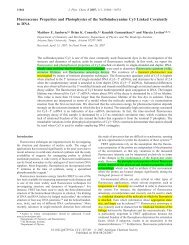 Fluorescence Properties and Photophysics of the Sulfoindocyanine ...