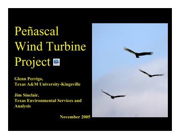 Peñascal Wind Turbine Project