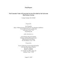 Final Report The Economic Value of Ecosystem Services - Houston ...