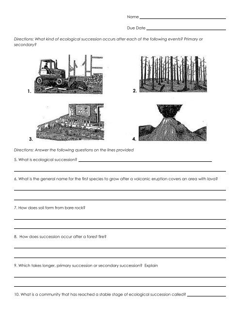 ecological-succession-worksheet-high-school-population-munity-and