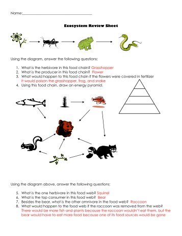 Ecosystem Review Sheet Using the diagram, answer the following ...