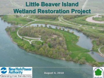 Little Beaver Island Wetland Restoration Project - Niagara Power ...