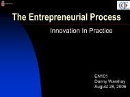 The Entrepreneurial Process