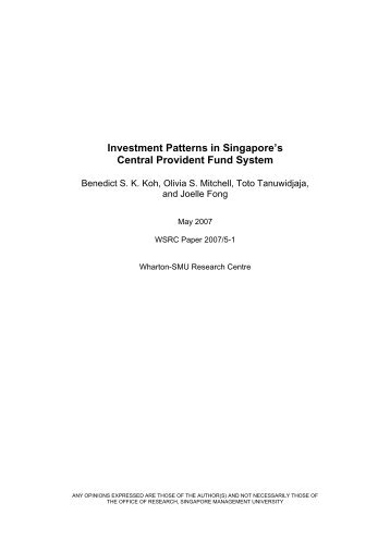 Investment Patterns in Singapore's Central Provident Fund System