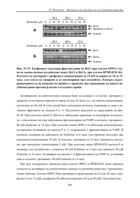 PhD Thesis_ver3.pdf