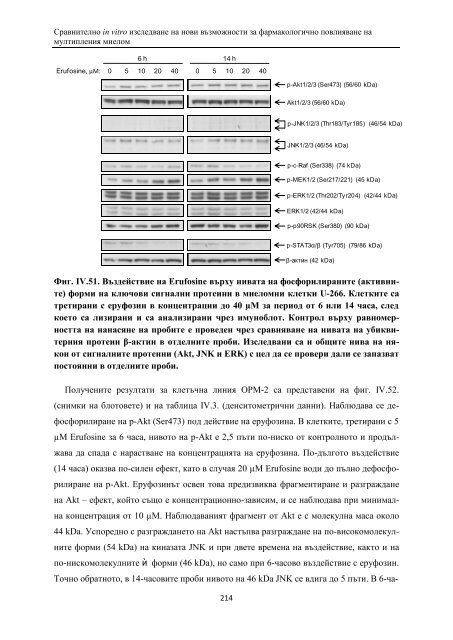 PhD Thesis_ver3.pdf