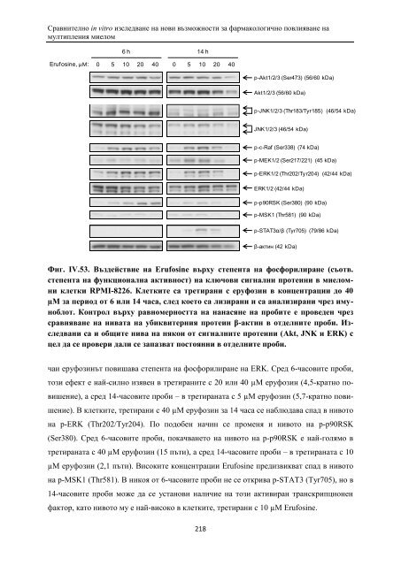 PhD Thesis_ver3.pdf