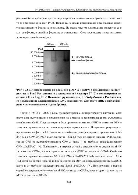 PhD Thesis_ver3.pdf