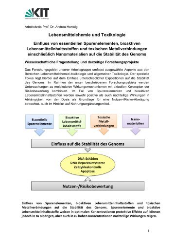 Forschungsgebiete - KIT - IAB/LMC