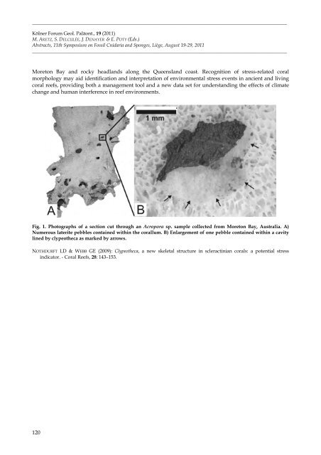 Aretz et al_2011.pdf - ORBi - Université de Liège