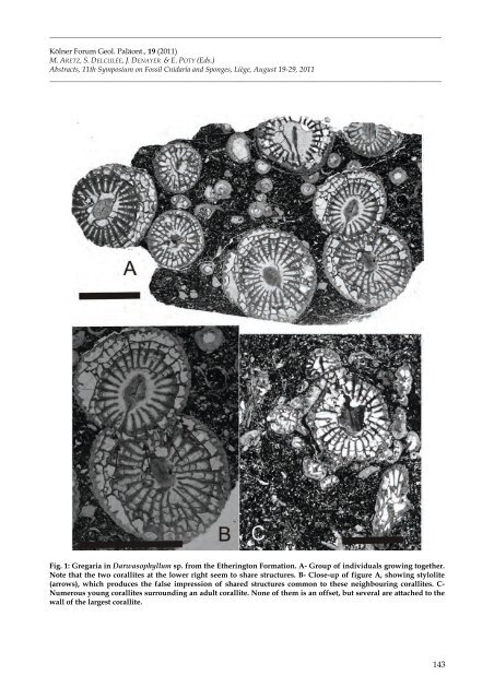 Aretz et al_2011.pdf - ORBi - Université de Liège