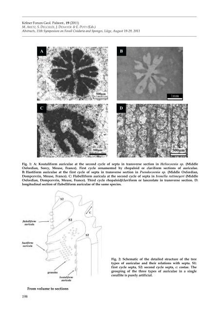 Aretz et al_2011.pdf - ORBi - Université de Liège