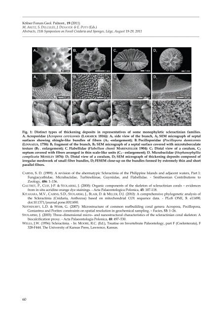 Aretz et al_2011.pdf - ORBi - Université de Liège